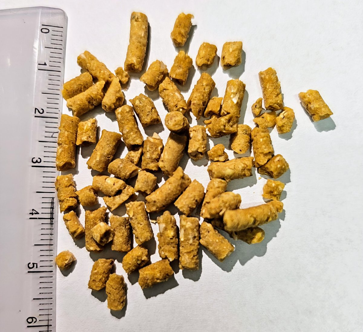 こんにちは😊
本日もご来店有難うございます！
お知らせしていたハリネズミフード
先程、楽天市場「ふくもも」に追加登録しました‼️
販売までにタイムラグがありますが、数時間後には注文して頂けると思います😊
安全・安心素材にこだわった
素朴なハリネズミフード🦔です