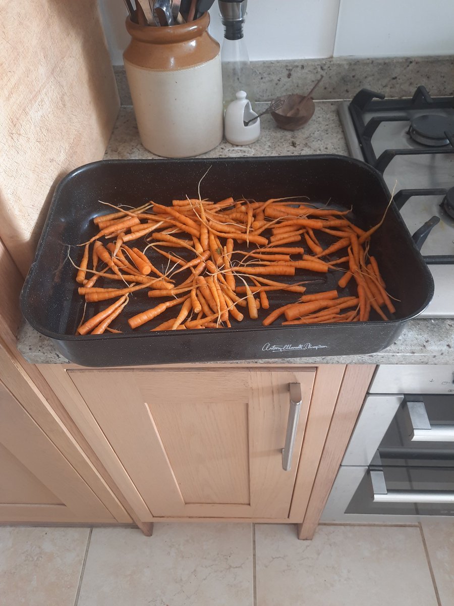 Roasting veg in oven and dishwasher and of course coffee . All powered by the sun. All veg from spares box <a href="/OakTreeLCF/">The Oak Tree</a> <a href="/SolarNationUK/">SolarNationUK🇬🇧</a> <a href="/TheSolarShed/">Kevin Holland</a> <a href="/MoneySavingExp/">MoneySavingExpert</a>