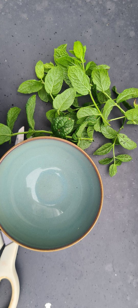 The smell of fresh mint is just incredible. Guess what we are having for our Sunday dinner 🍽