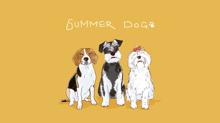 【夏の乾杯革命、はじまる🍻🎶】

GRANDLINE BREWING × SUMMER DOG LABEL による新プロジェクト「SUMMER DOG」始動！

8/19にExtreme Bitter IPA「SUMMER DOG」(330ml, 7.0%)発売。さらにオリジナル楽曲＆アパレルも展開中✨

👉beermaps-news.nomooo.jp/article/2025/0…