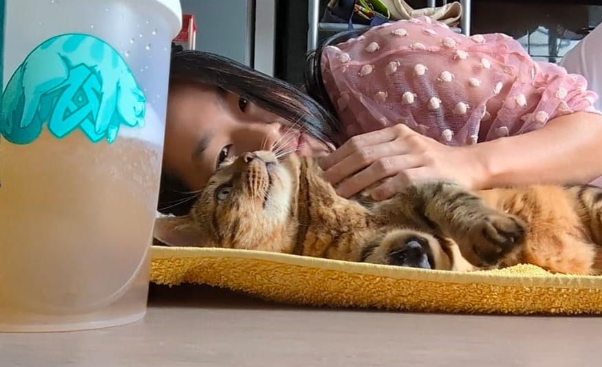 Quand ton chat et la nouvelle gourde <a href="/holysquad_fr/">HOLY Squad France®</a> matchent ensembles.... 💚☀️

#ZerancePartout