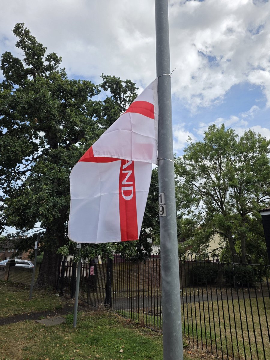 I live in a development near epping forest called epping gate. Let's just say I'm seeing a lot of these boys.