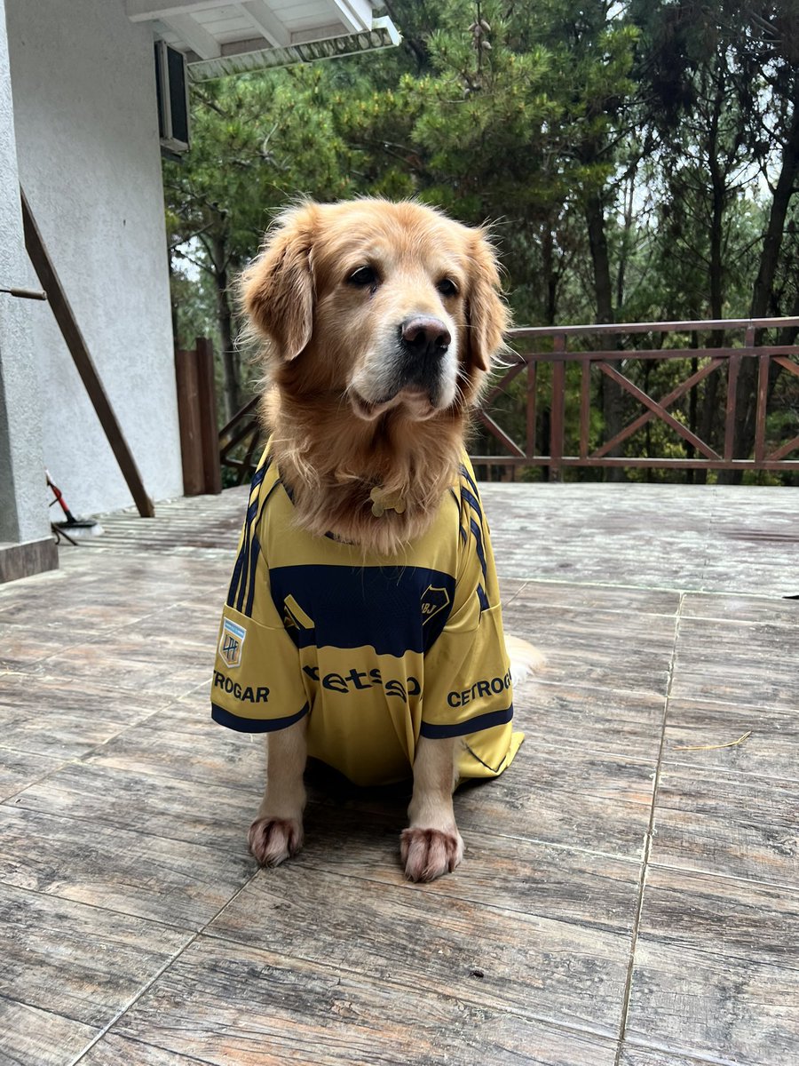 Buen domingo! Hoy hay que ganar.