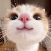 ZafirArtz's tweet photo. IDK πΏ......CUTE THING
.
GAME: SPLIT FICTION
CHARACTER:
-J.D RADER
-MIO HUDSON
-ZOE FOSTER
.
.
#splitfiction #SPLITFICTION
#splitfictionrader #jdrader #splitfictionmio
#miohudson #splitfictionzoe #zoefoster https://t.co/zflMaOMryx