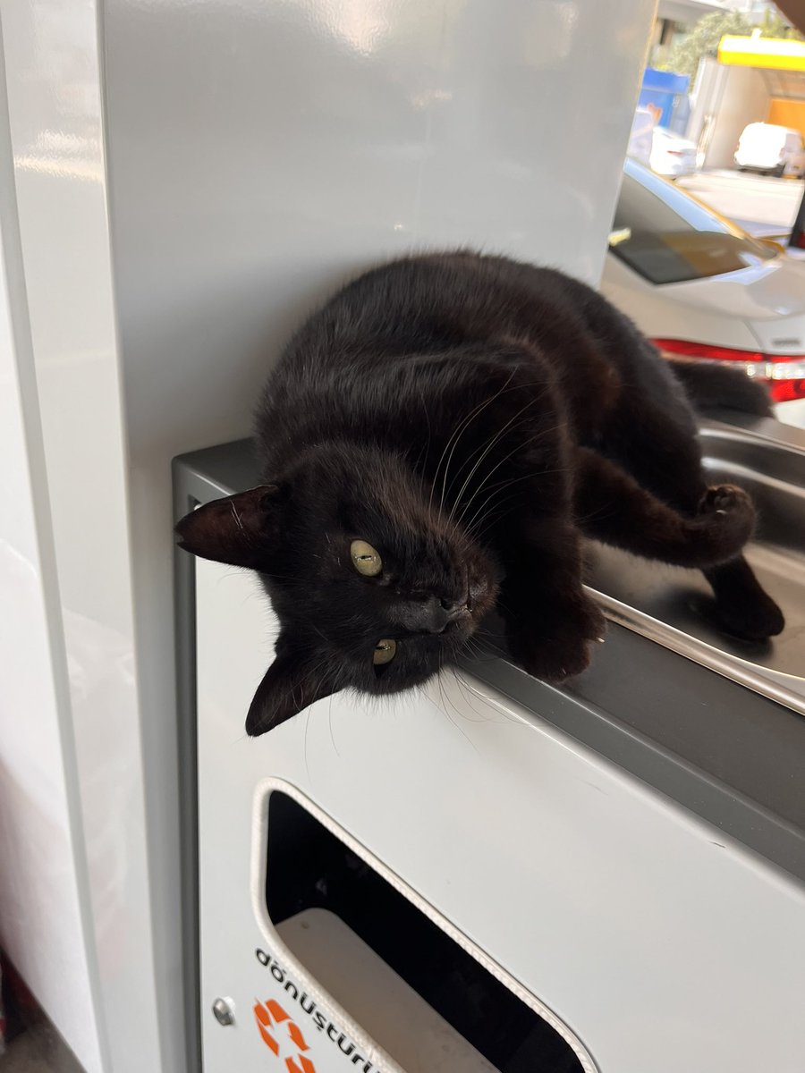 benzin doldurur musun dedim cevap vermedi opetin personel başkanı paşalar gibi yayılmış 🤩