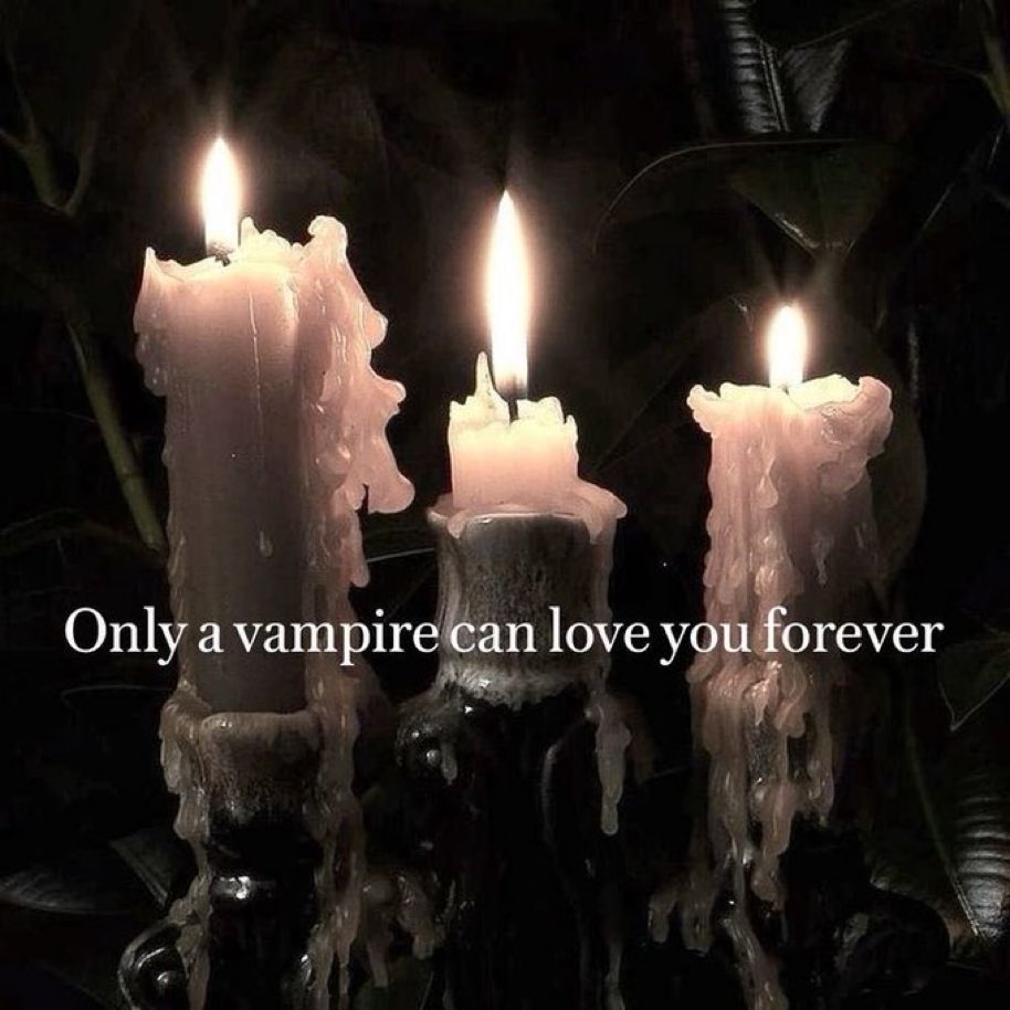 𝐭𝐡𝐞 𝐯𝐚𝐦𝐩𝐢𝐫𝐚 𝐬𝐡𝐨𝐰 🪦 (@horrorsthetics) on Twitter photo 