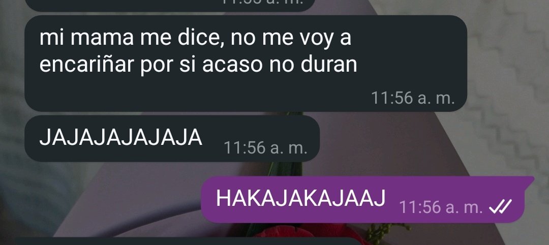 qué sabía la mamá que yo no vi JSJSJSJS 😭😭😭😭😭😭

(prohibido leer mensajes viejos con los exes 🫠)