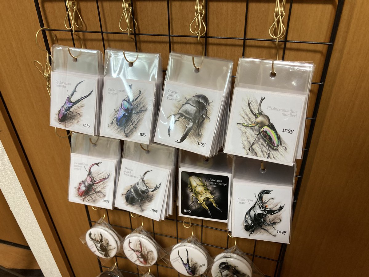 msy (@beetlesuka) / X