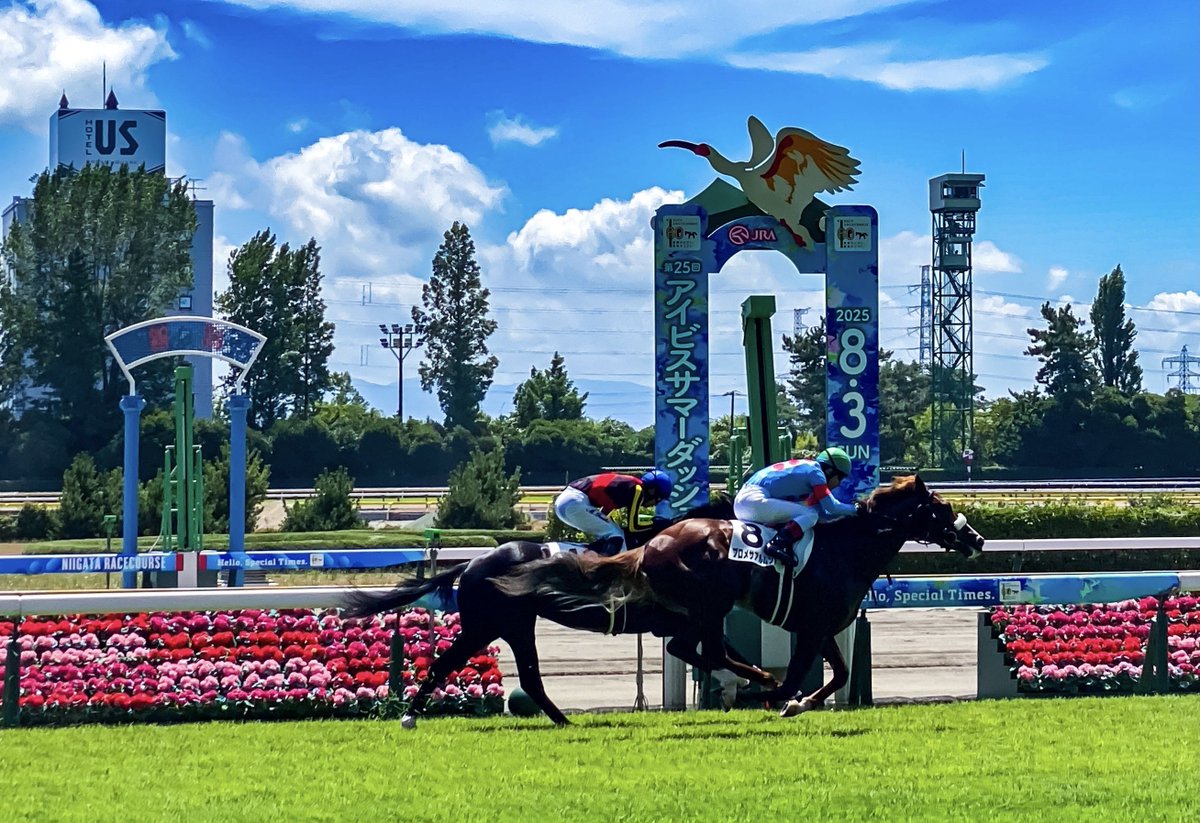 ishi37763's tweet image. #8月を写真4枚で振り返る 競馬編
#新潟競馬場 
#プロメサアルムンド 
#アーモンドアイの子供 
#リアライズシリウス 
#新潟２歳ステークス 
#グランマエストロ 
#グランアレグリアの子供 
#シランケド 
#新潟記念 
#キリトリセカイ 
#スマホ撮影 
#iPhone越しの私の世界 
#写真好きな人と繋がりたい