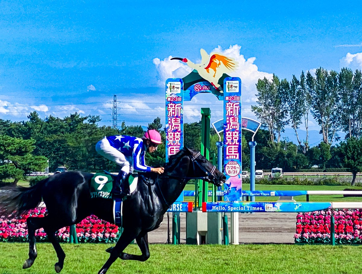 ishi37763's tweet image. #8月を写真4枚で振り返る 競馬編
#新潟競馬場 
#プロメサアルムンド 
#アーモンドアイの子供 
#リアライズシリウス 
#新潟２歳ステークス 
#グランマエストロ 
#グランアレグリアの子供 
#シランケド 
#新潟記念 
#キリトリセカイ 
#スマホ撮影 
#iPhone越しの私の世界 
#写真好きな人と繋がりたい