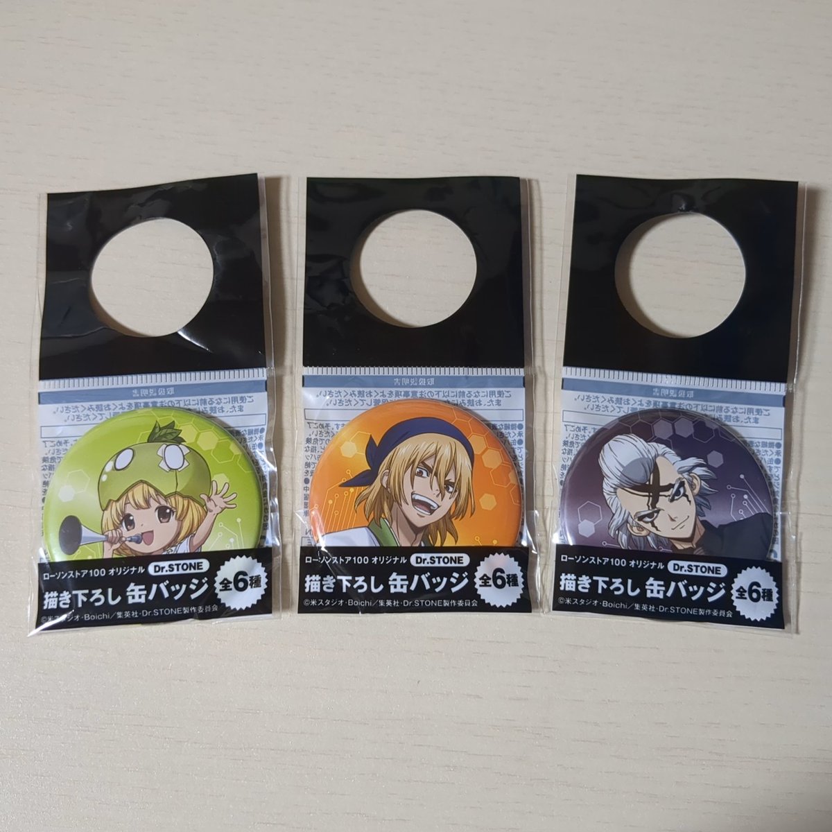 Dr.STONE ドクスト ローソン100 缶バッジ スタンリー Dr.STONE ローソンストア100 スタンリー 描き下ろし缶バッジ 22枚