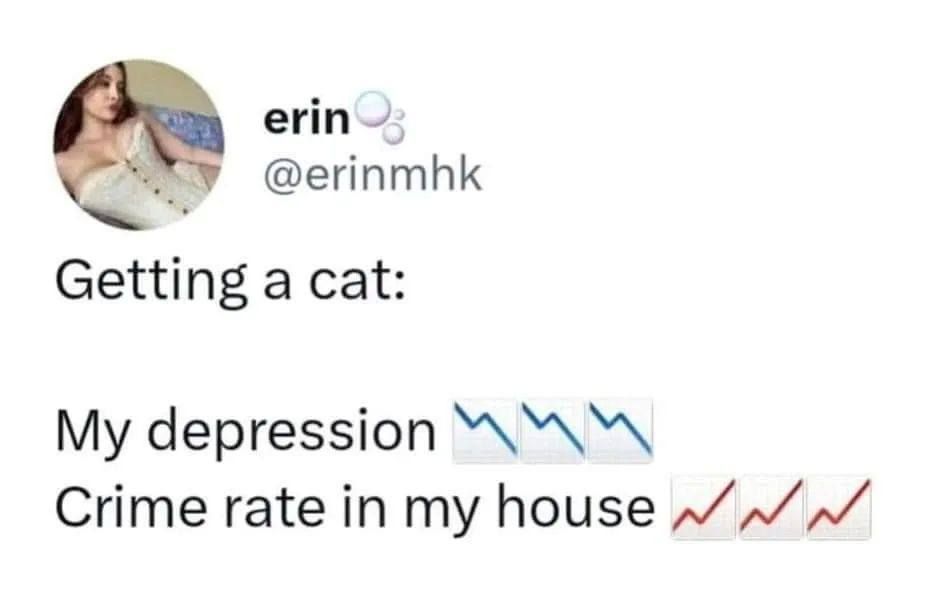 Cat facts.