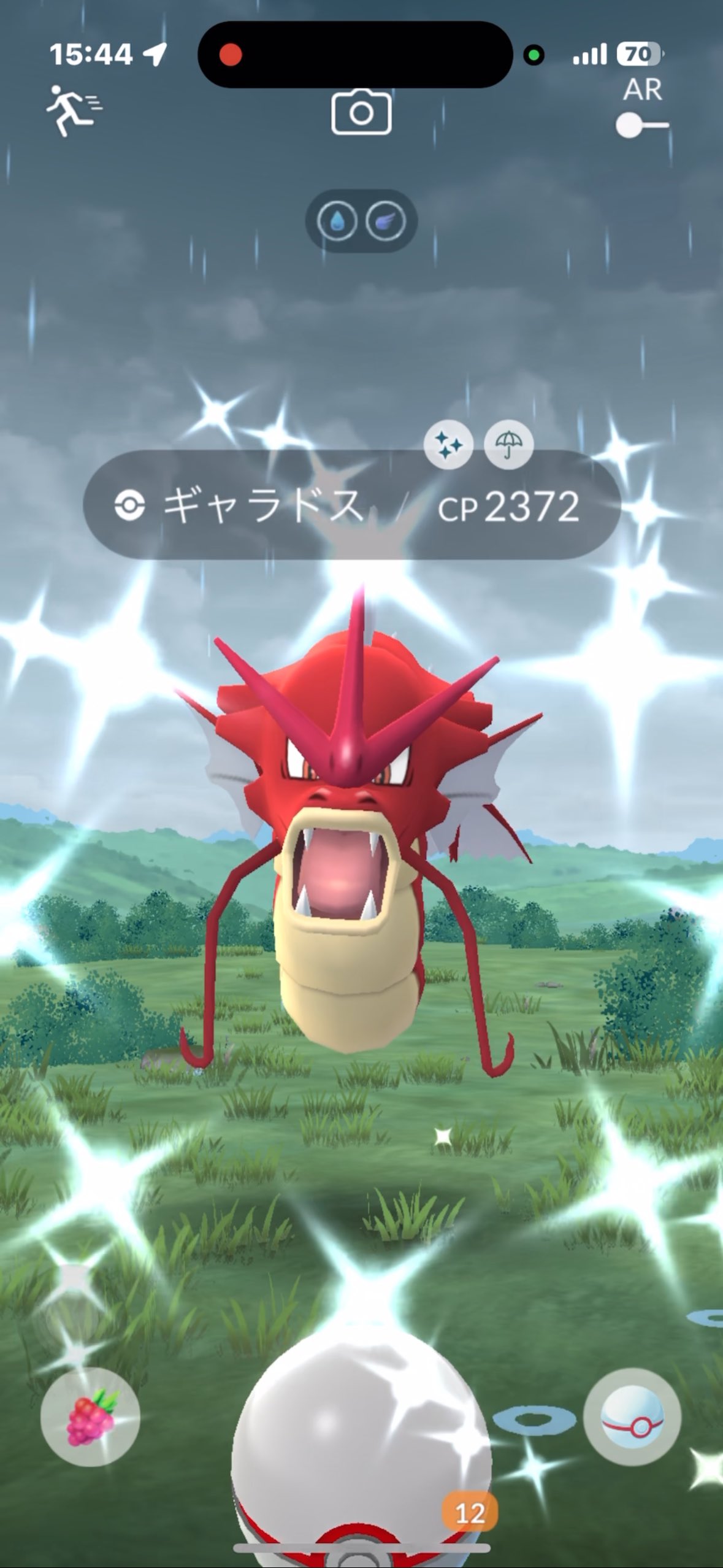 色違い CP6等まとめ売り ロコン ビリリダマ サンダー ギャラドス pt Amazon.co.jp: ポケモンカードゲームSV sv1a 強化拡張パック