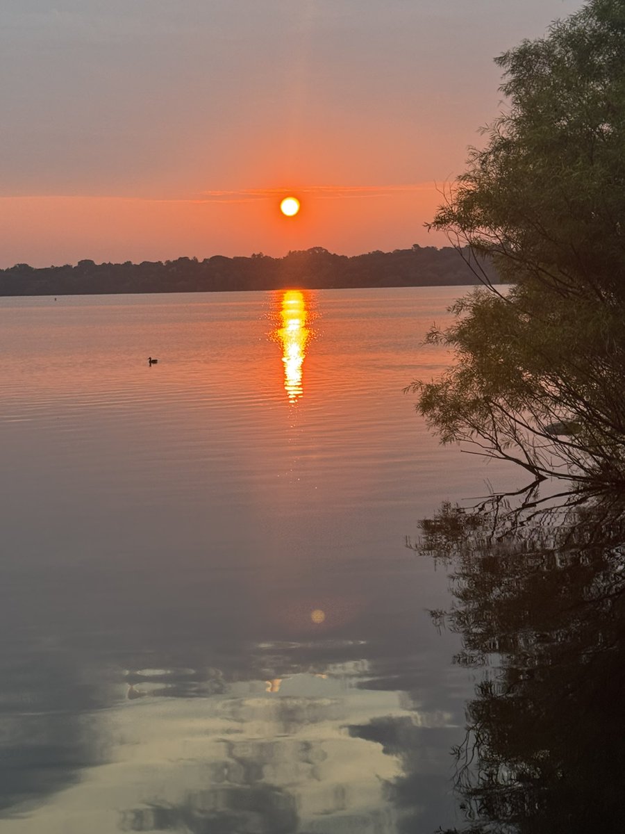 Sean Sweeney tweet media