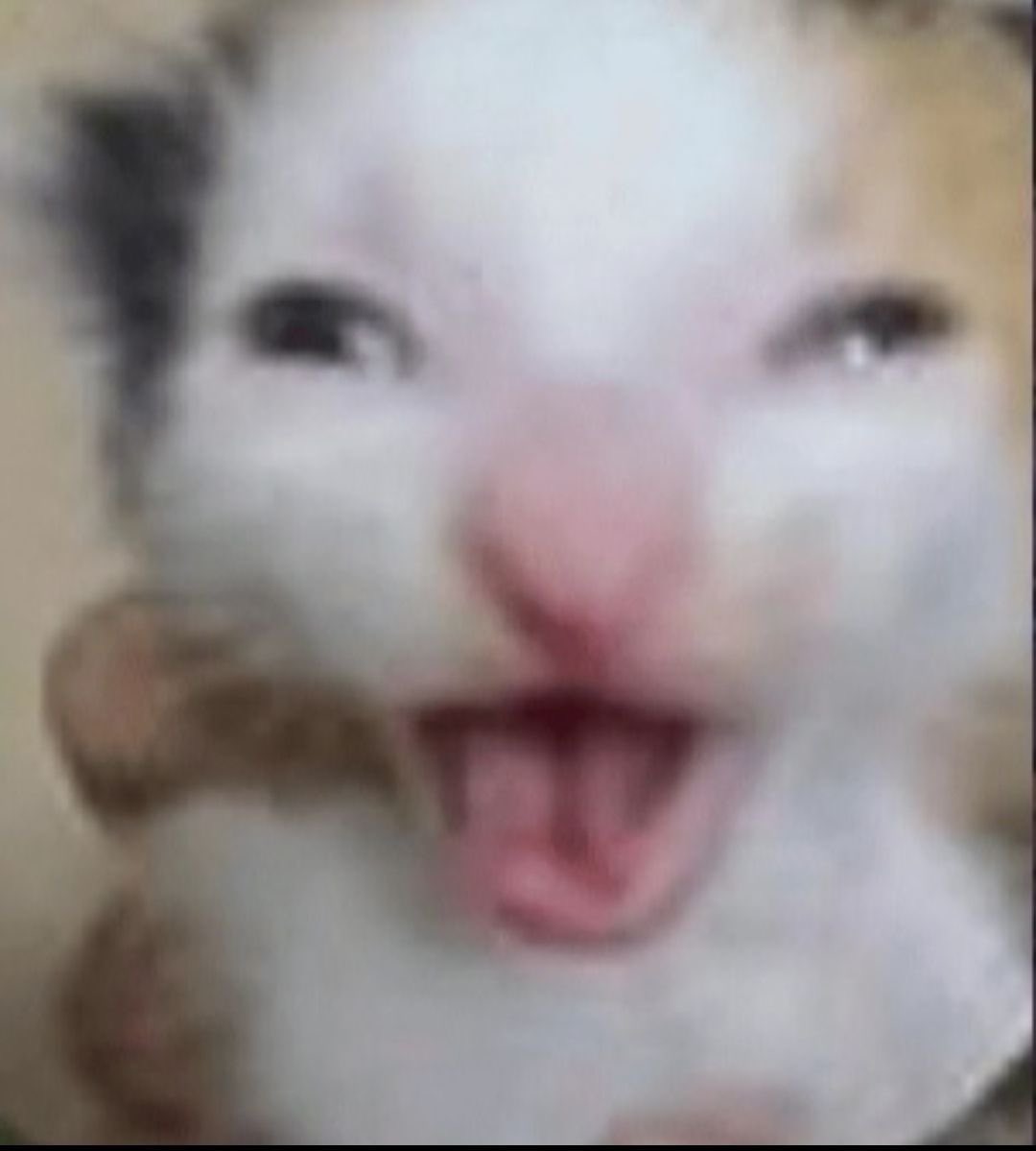 ฮง (@hfivehong) on Twitter photo 