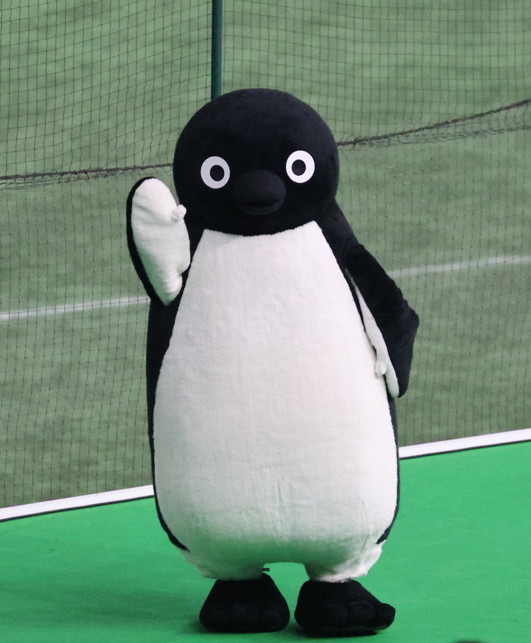 ぽんころ on X: 