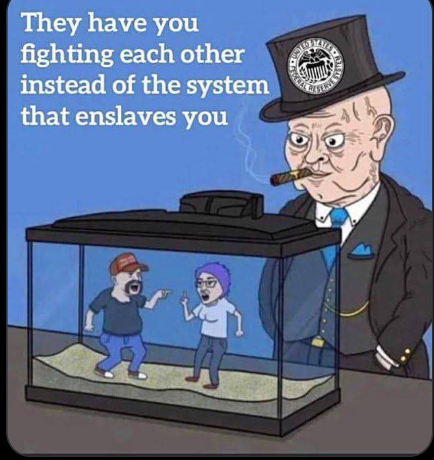 vagahlume's tweet image. 