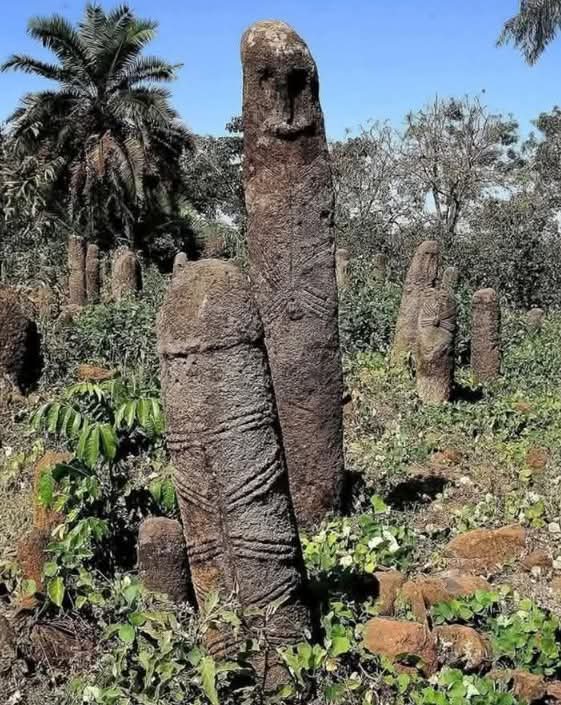 Tofelae Stelae site in Ethiopia 🇪🇹 stands as a remarkable testament to megalithic craftsmanship, with origins tracing back more than 1,500 years. 

These impressive stone pillars, adorned with intricate carvings, are believed to commemorate the deceased or to signify individuals