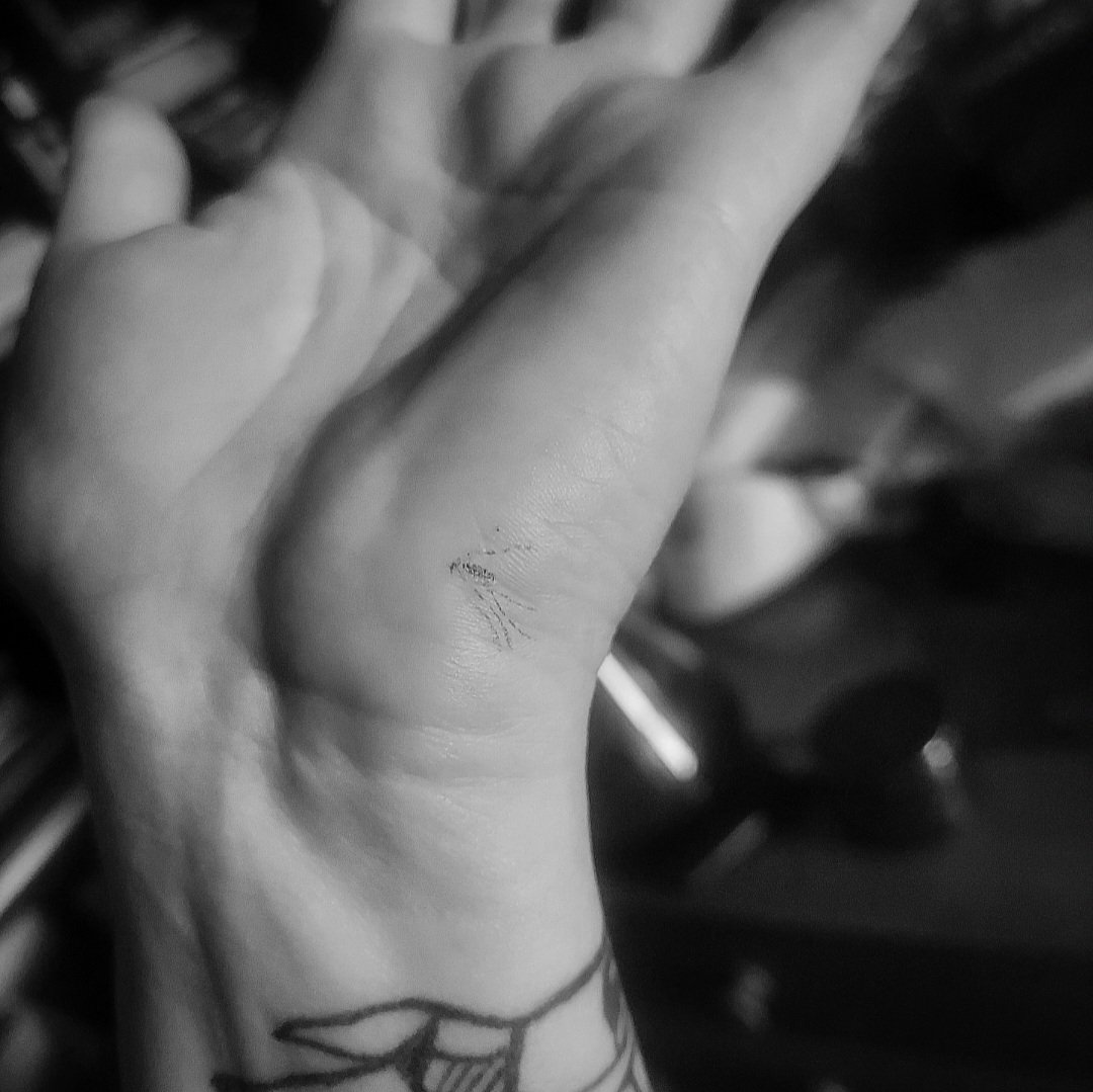 I don't know about yall, but the skeeters were BAD the 2nd half of summer here. Sat around a backyard fire &amp; felt the chill of fall coming in- I wish all the bloodsuckers in DC a very fuck off and die!