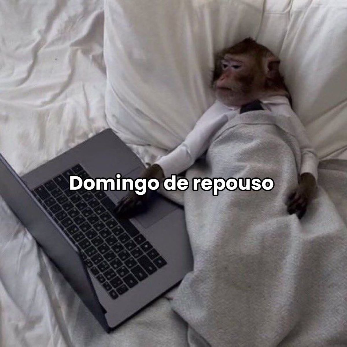 Bora descansar! Bom diiaa