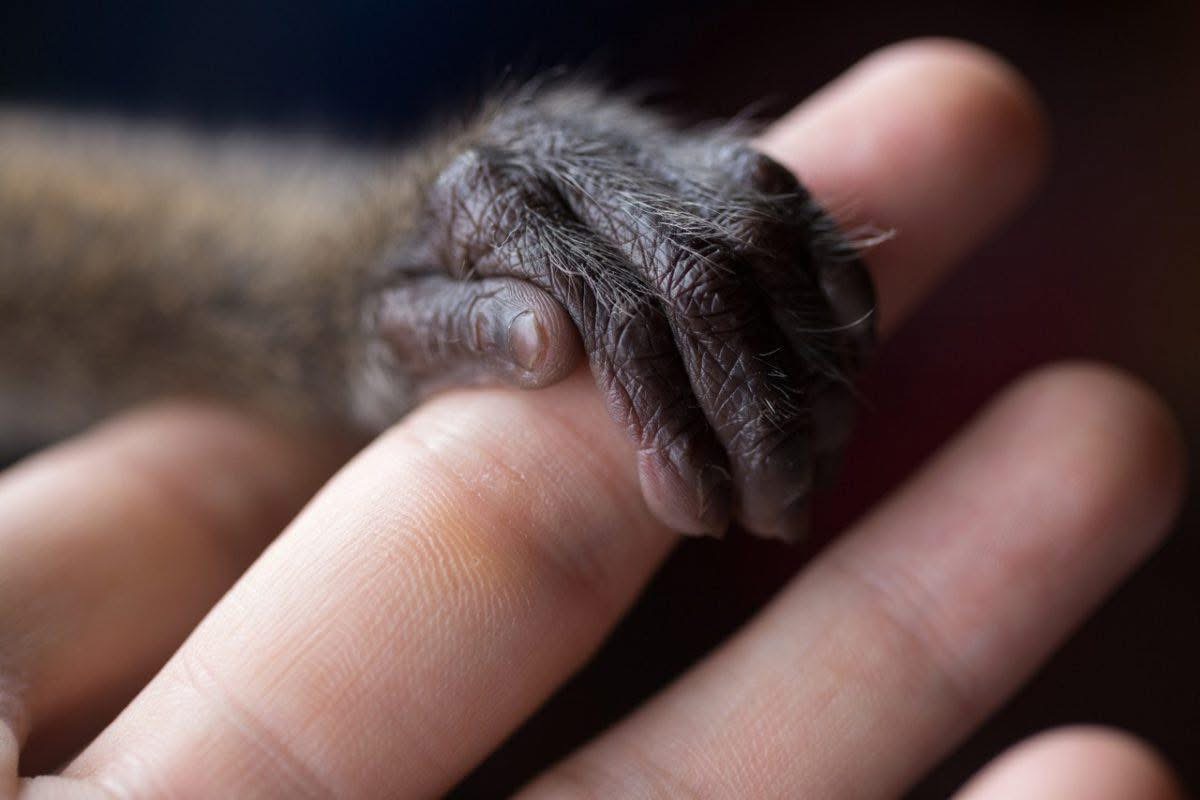 In a world full of cruelty, I choose compassion

And #KindnessToAllKinds 

<a href="/ciwf/">Compassion in World Farming UK</a>