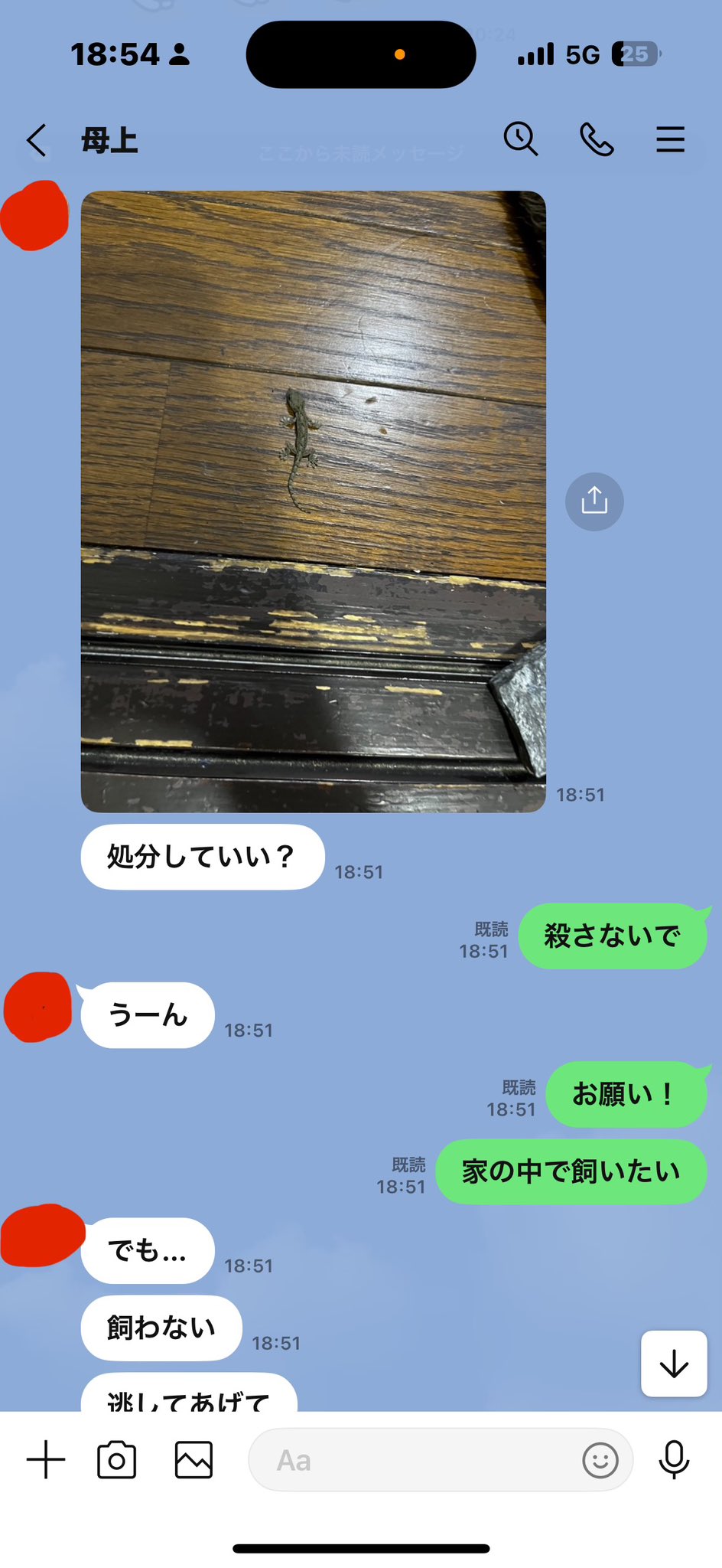 かわう on X: 