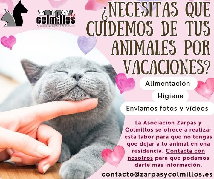 ¿Necesitas que cuidemos de tus animales cuando no estáis?
Cuidamos de ellos cuando no estáis... les mimamos, ponemos de comer y beber, hacemos compañía...
Si queréis más información sobre nuestro servicio de guardería no dudéis en escribirnos a contacto@zarpasycolmillos.es