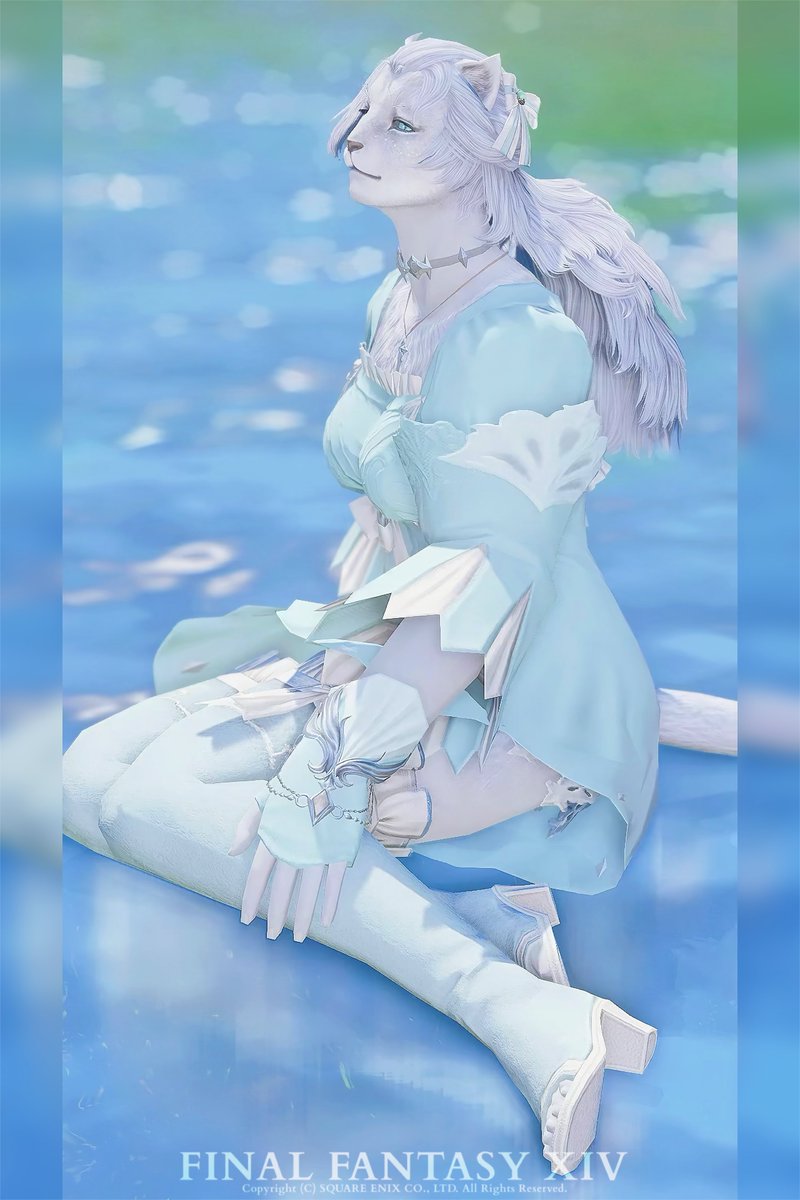 Tochi (@tcmr_to) on Twitter photo 