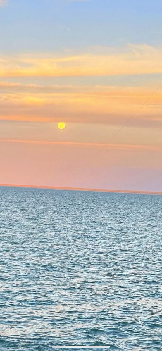 mdarwish3's tweet image. يا الله علي الجمال سبحان الخالق