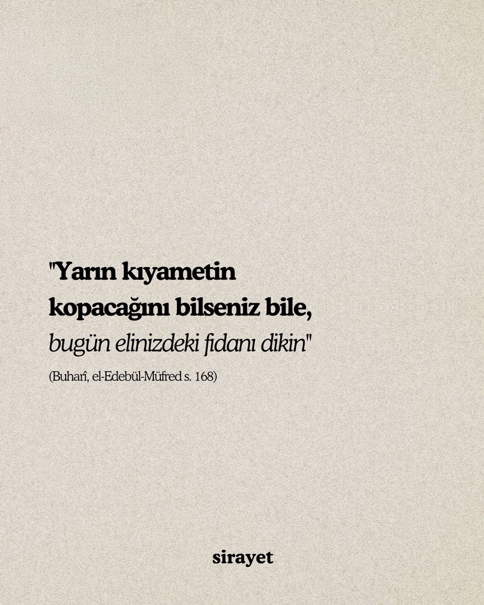 sirayyet's tweet photo. https://t.co/zCyIwVCIh6