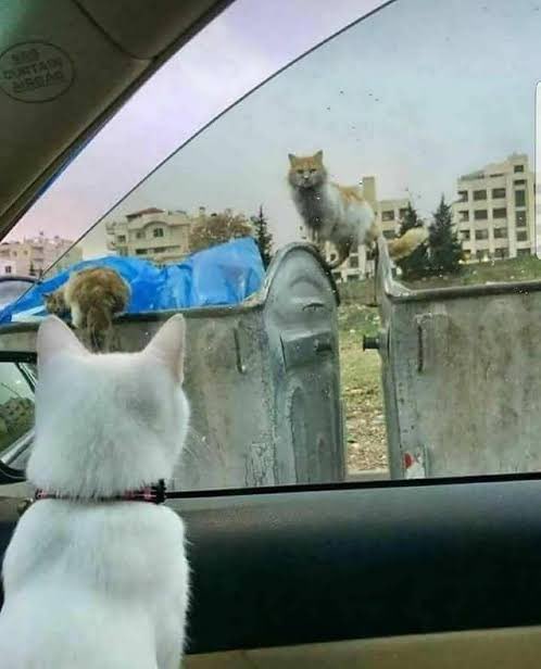 Çocuğa şundan oldu