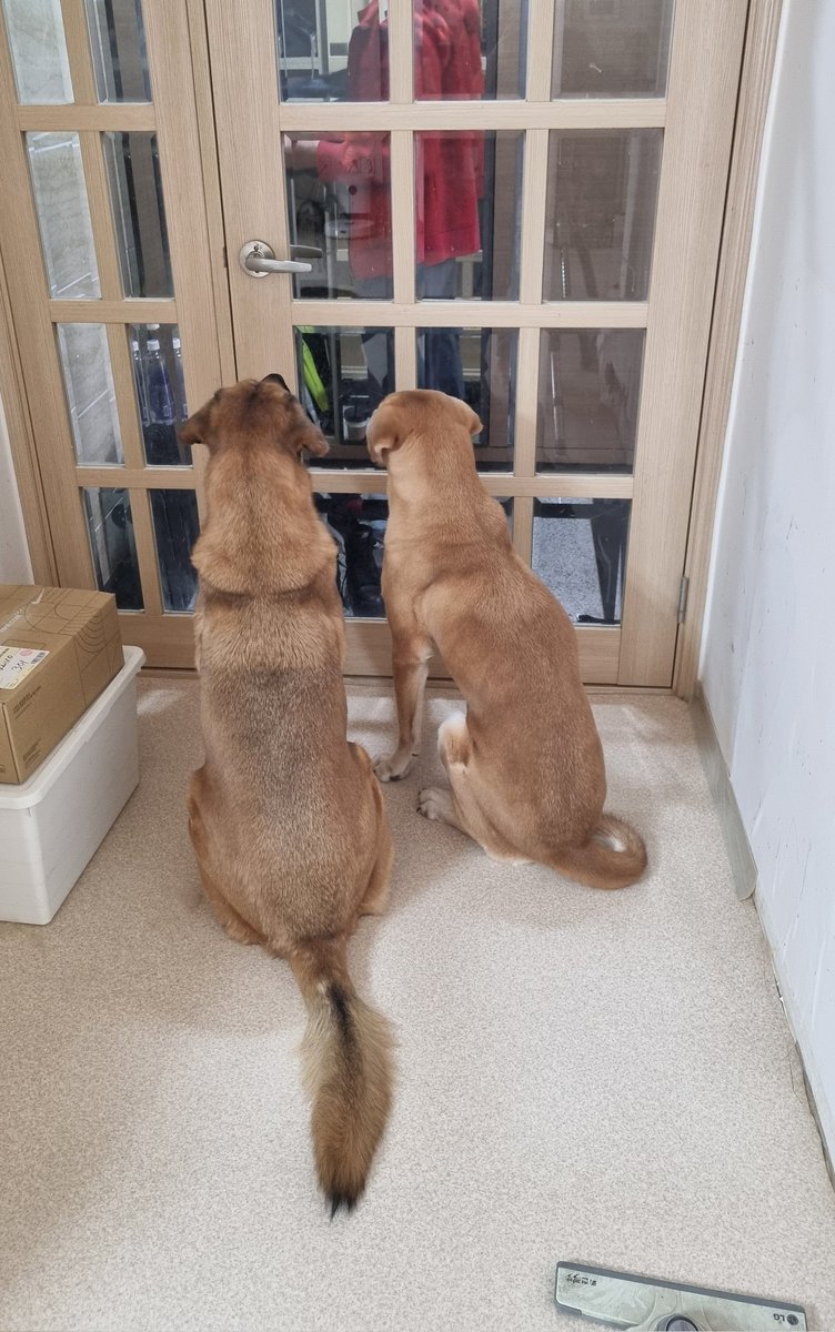 아 집에만 오면 길막해서 너무 불편하네;;;