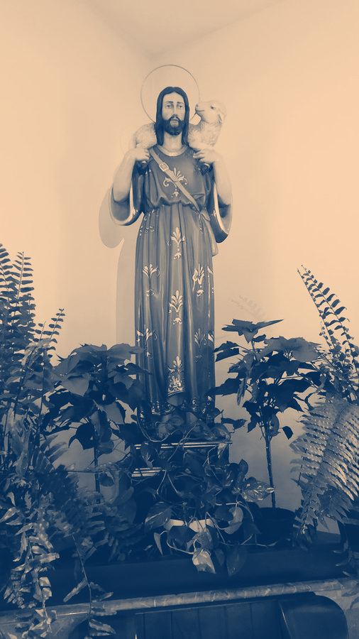 #Eucaristía Hoy, en El Buen Pastor, celebramos el #Sacramento de la Comunión a las 19:00 horas. Estamos todos invitados.
<a href="/DiocesisMalaga/">Diócesis de Málaga</a>

Acerquémonos al pan de vida eterna y al cáliz de eterna salvación.