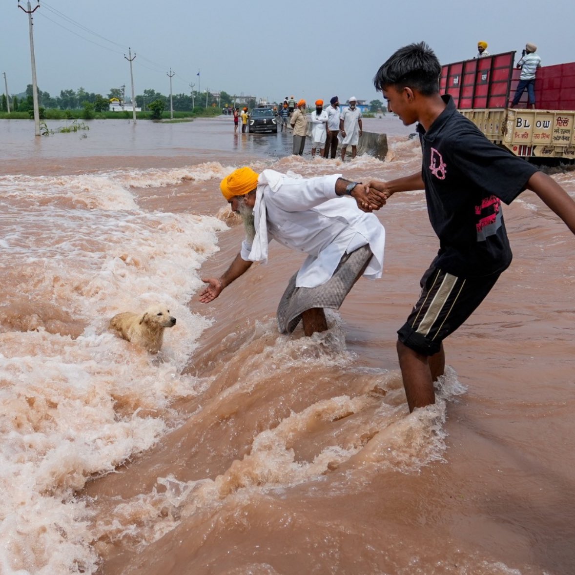 iamgurpreetmaan's tweet image. A Thread 🧵  
DON&apos;T OPEN IF YOU ARE SOFT HEARTED! 

THE &quot;PUNJAB&quot;
Chardi Kala under Panic condition of #PunjabFloods