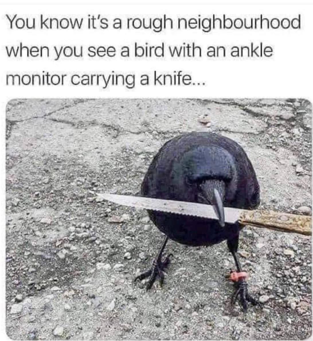 Happy Sunday all, with the granddaughter this weekend, we’ve done our nails, and about to make bracelets 😂😂 have a great day all x