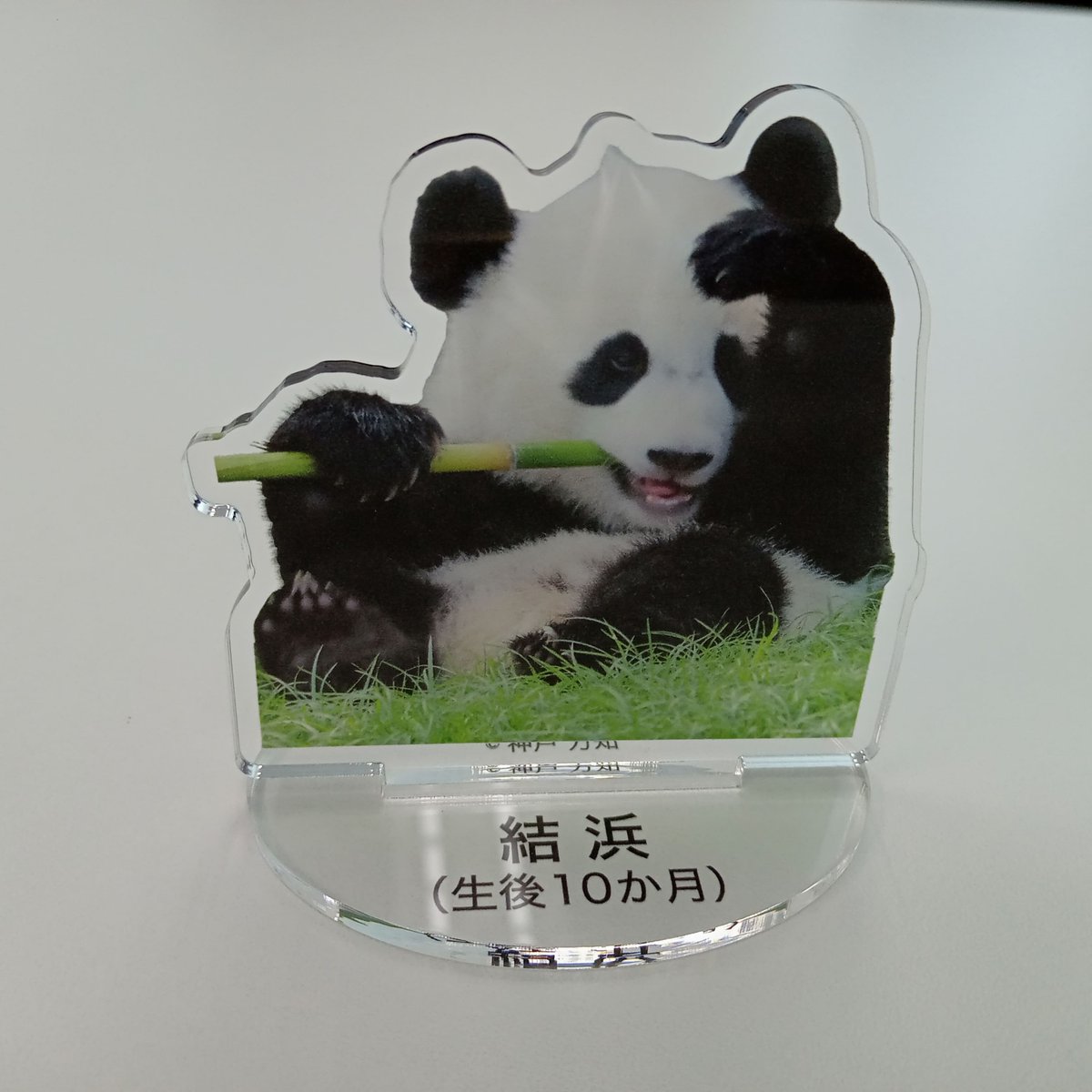 パンダ 5点おまとめ パンダコパンダ | GOODS | Overglad（オーバーグラッド）
