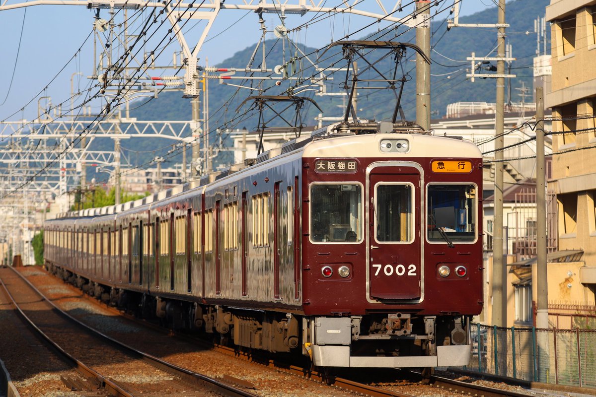 昨日今日の朝です。