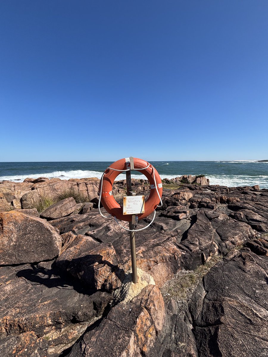 On the edge of chaos, a quiet promise of help