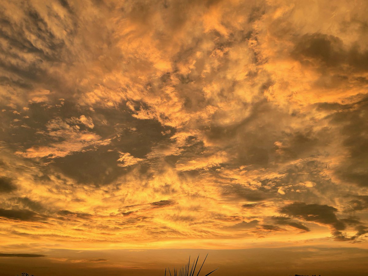 EhsanAzam8's tweet image. Lahore being Lahore ❣️❣️❣️❣️❣️