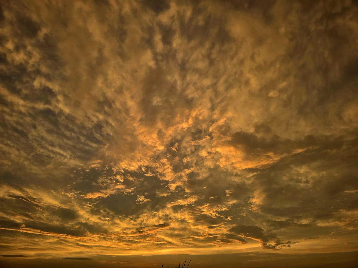 EhsanAzam8's tweet image. Lahore being Lahore ❣️❣️❣️❣️❣️