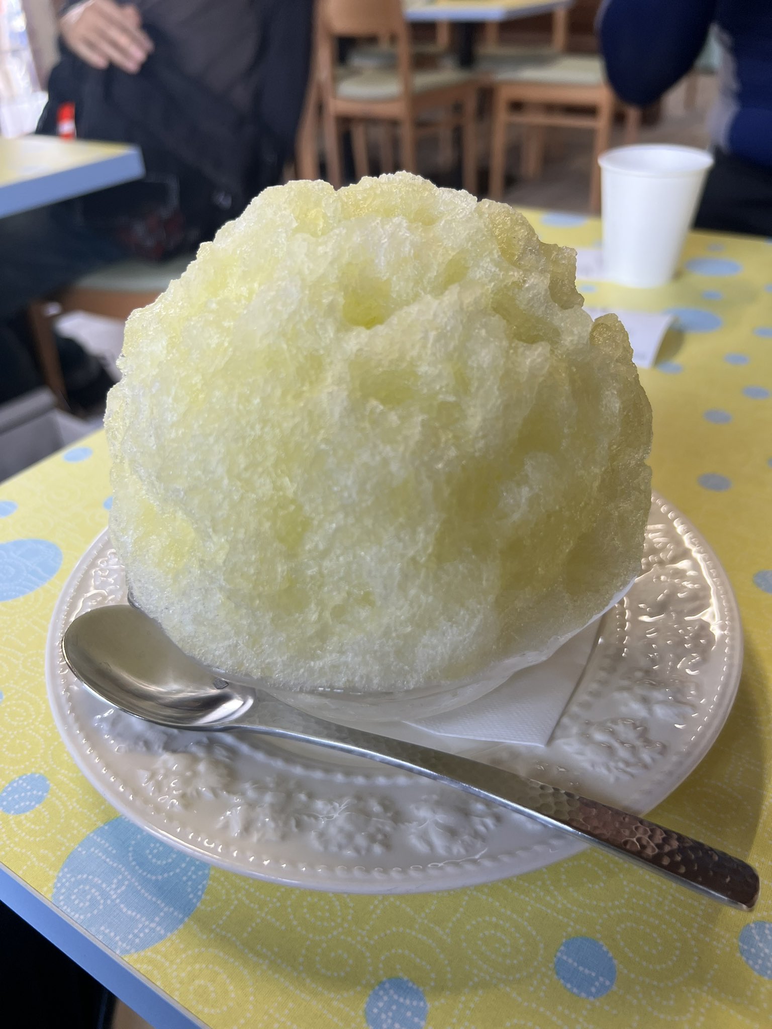 まー坊すとあです☆フォロー割 スーパーアイザワ佐野店 on X: 