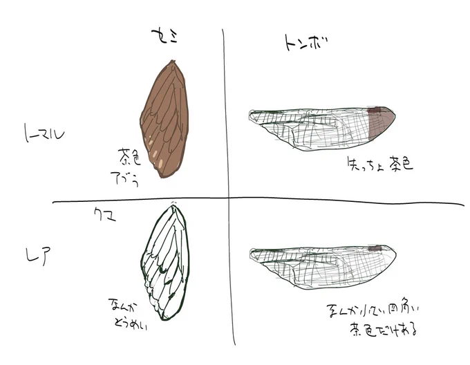 子供の頃、セミとトンボを羽で勝手に格付けしてた 