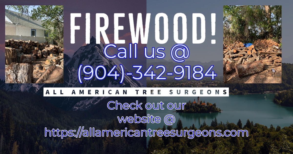 TreeShane's tweet image. Firewood for Sale: Any Amount, P/U &amp;amp; Delivery Available
(904) 342-9184
allamericantreesurgeons.com
*Minimum Delivery
*Delivery Cost Not Included
*Stacking Cost Not Included
*Please Specify When Ordering if to be Used Inside or Outside
*3.5% Convenience Fee for Credit Cards