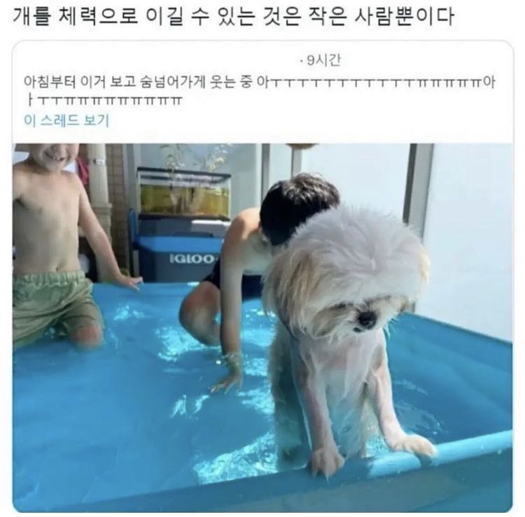 챱 (@lovx11_very) on Twitter photo 