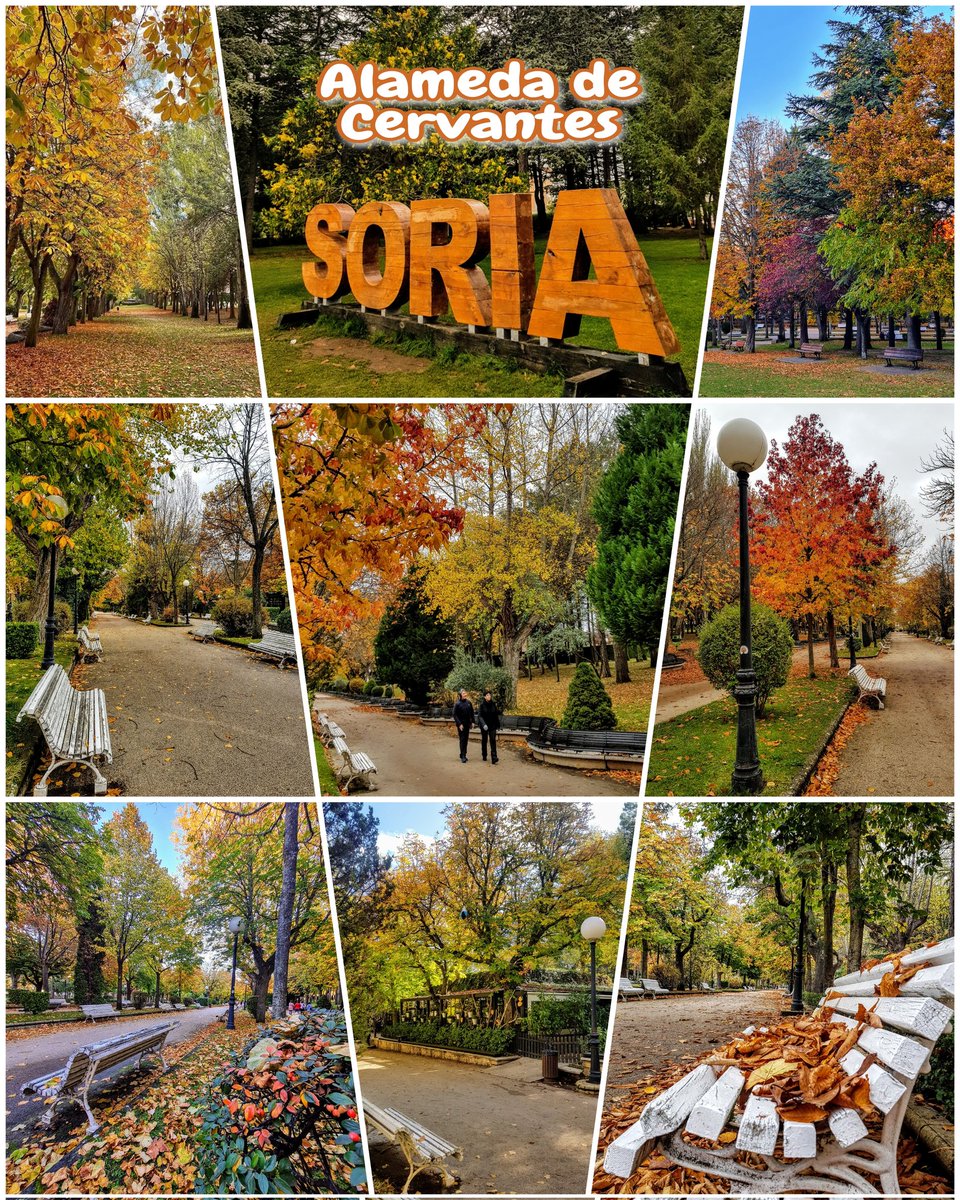 🍂¡Soria enamora y su otoño encandila!🍂
Si tienes pensado venir por esas fechas a la ciudad de Soria no dejes de darte un paseo por la Alameda de Cervantes para comprobar como la magia de esta estación llega poco a poco a su vegetación. Pronto podremos disfrutar de estos tonos.