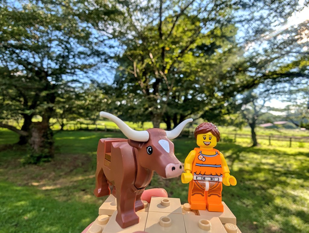牛🐂違い………(乳牛🐄のレゴってあるのかな？？)
#小岩井農場