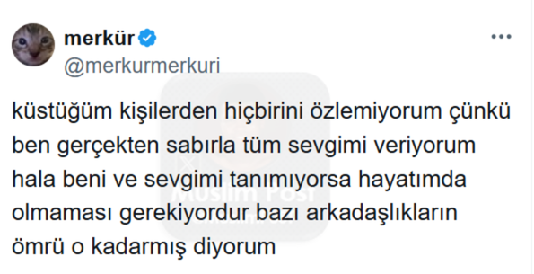 Muslim Post (@muslimp0st) on Twitter photo 