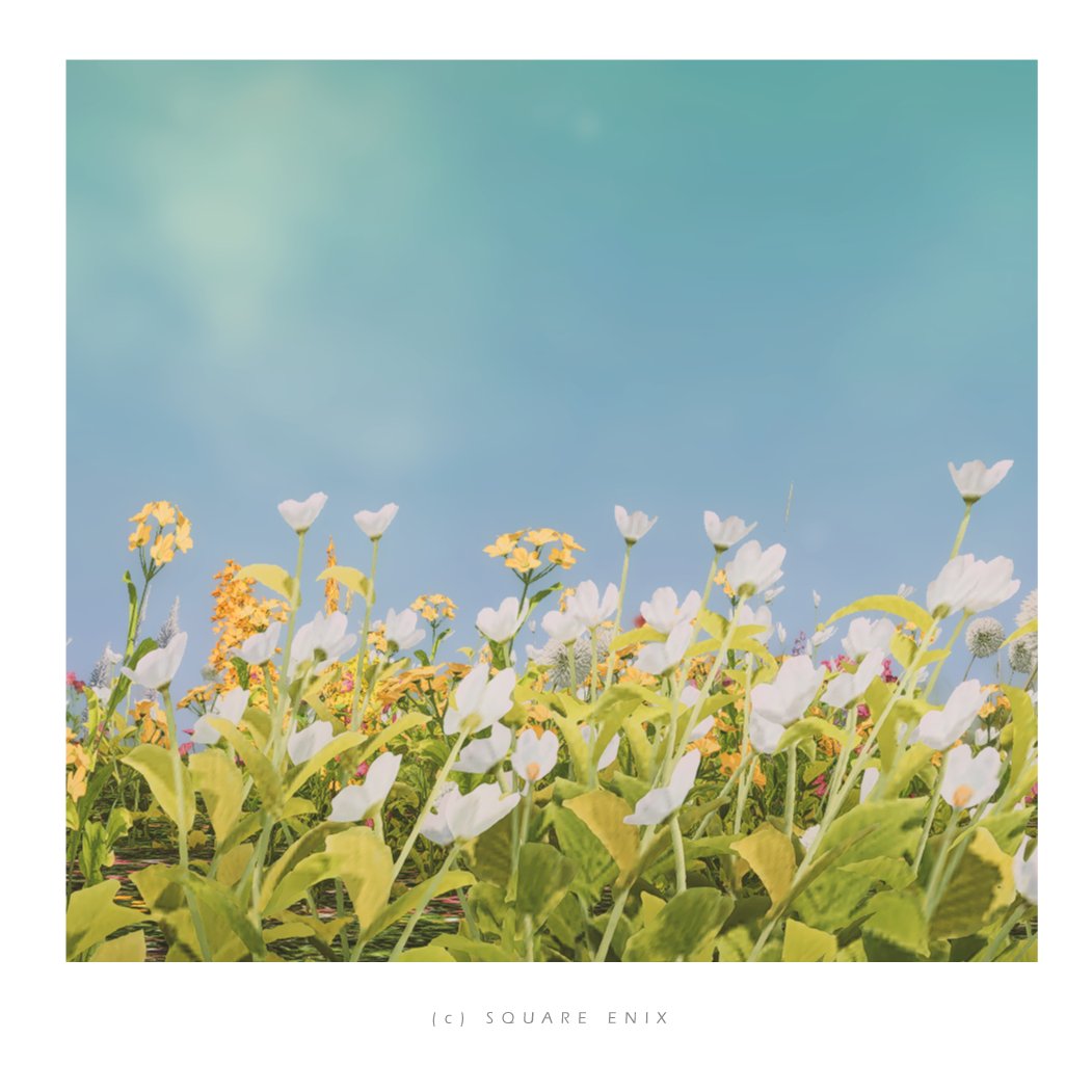 #FF14風景  ⁞  #FF14SS 🌿