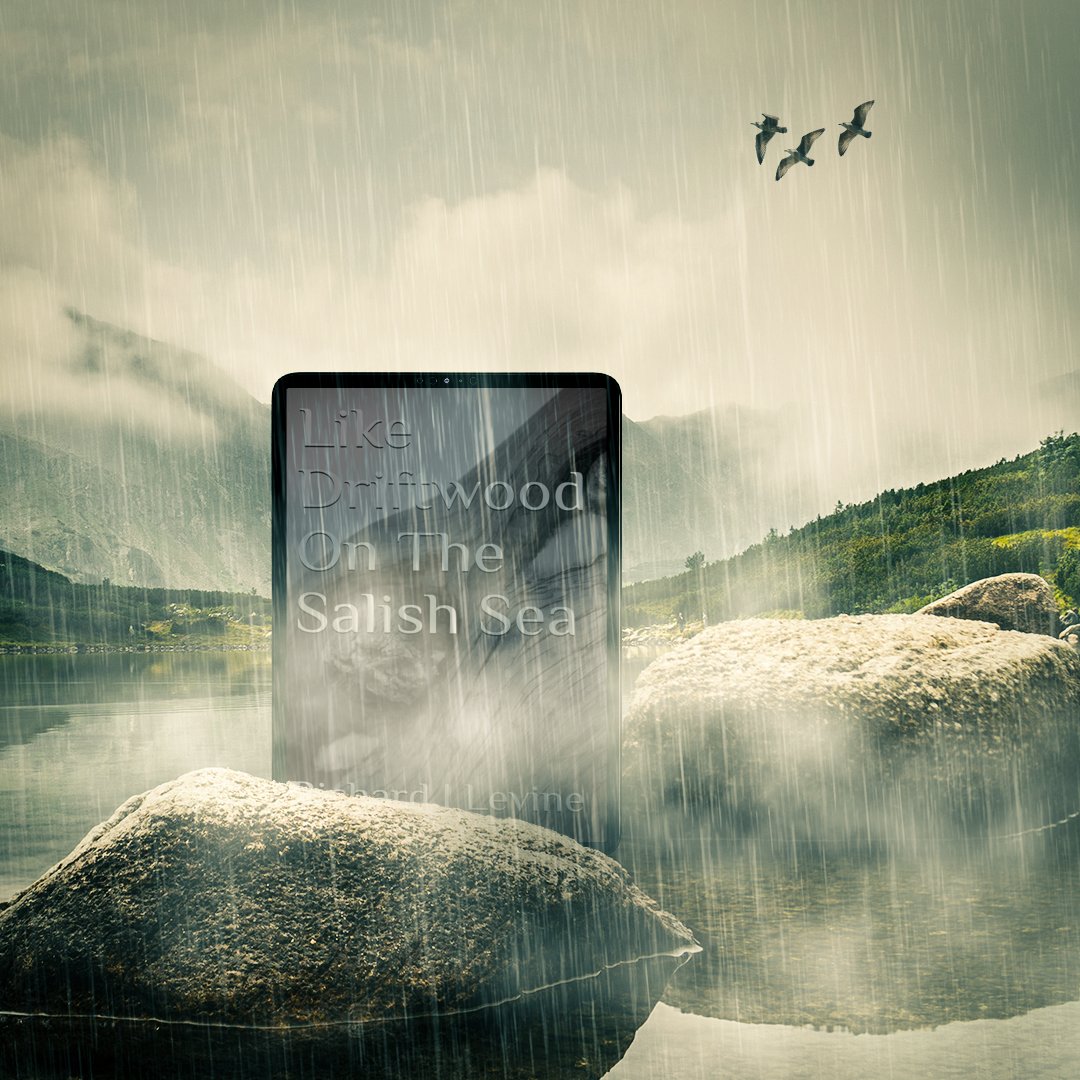 I enjoyed this touching novel. LIKE DRIFTWOOD ON THE SALISH SEA by <a href="/Your_In8_Power/">Richard I Levine</a>  is an engaging love story... <a href="/JoanPNienhuis/">Joan P Nienhuis</a> 

#LoveStory #Redemption #RomanceNovel #SecondChances #SmallTownRomance