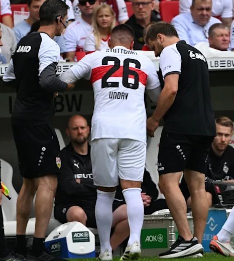 Leon Potuzhek tweet media